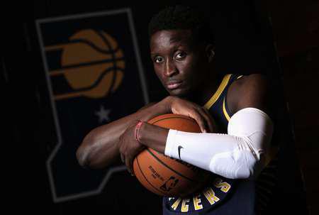 那便是它们 那便是它们