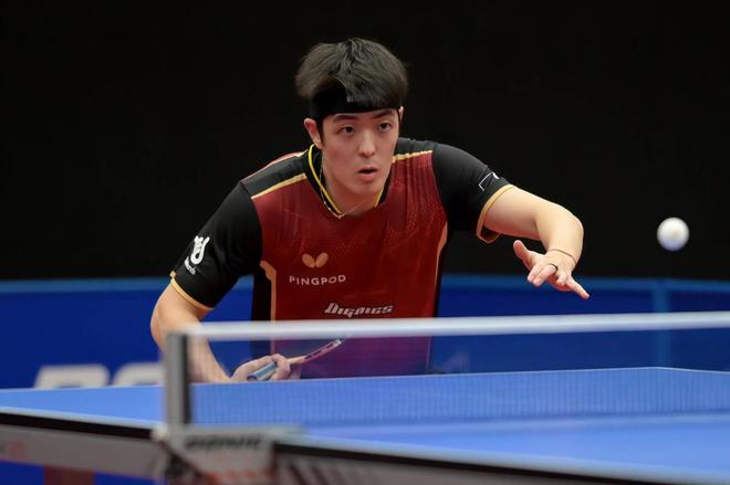 整体表现起 整体表现起